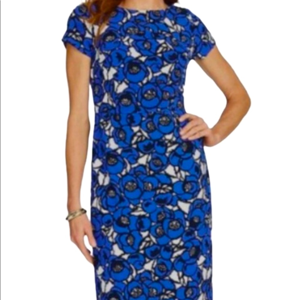 Stunning Talbots dress